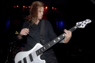 CATTLE DECAPITATION